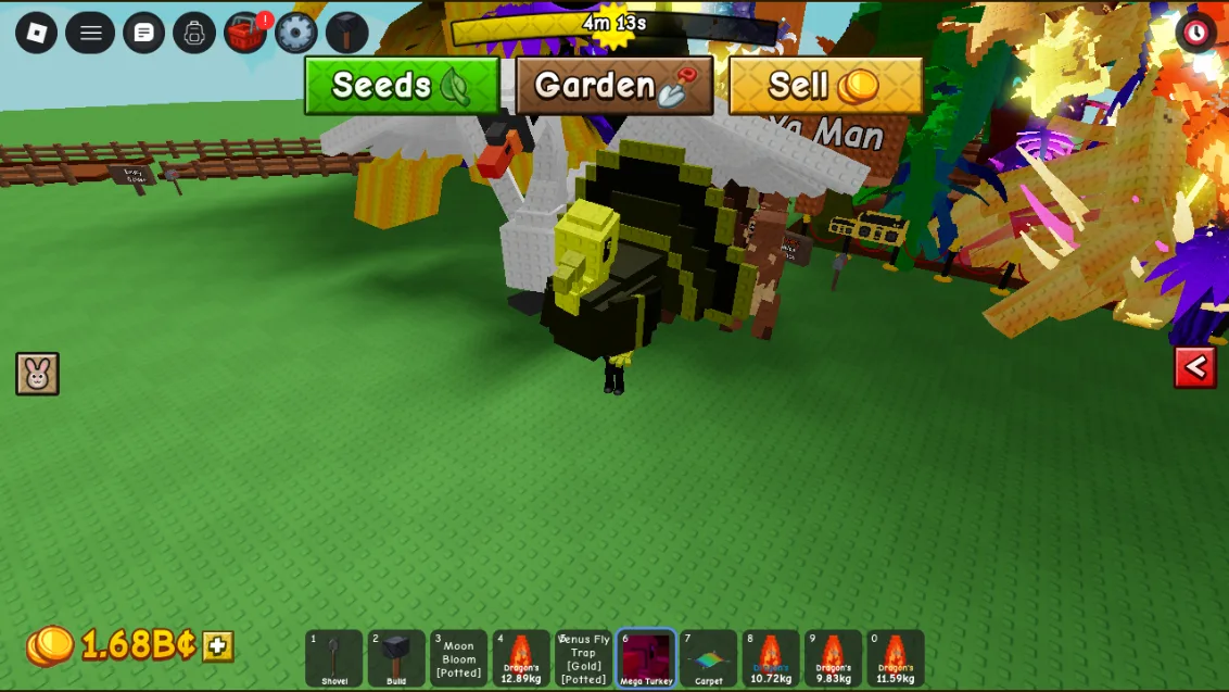 Turkey (Rare)