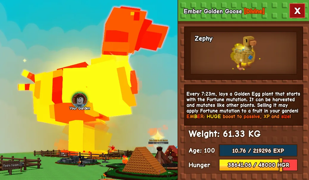 60.93kg+ Age 100 Ember Golden Goose