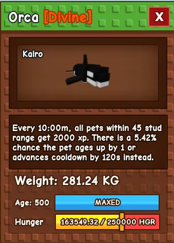 Orca Age 500