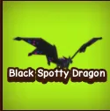 Black Spotty Dragon 4X — Account account