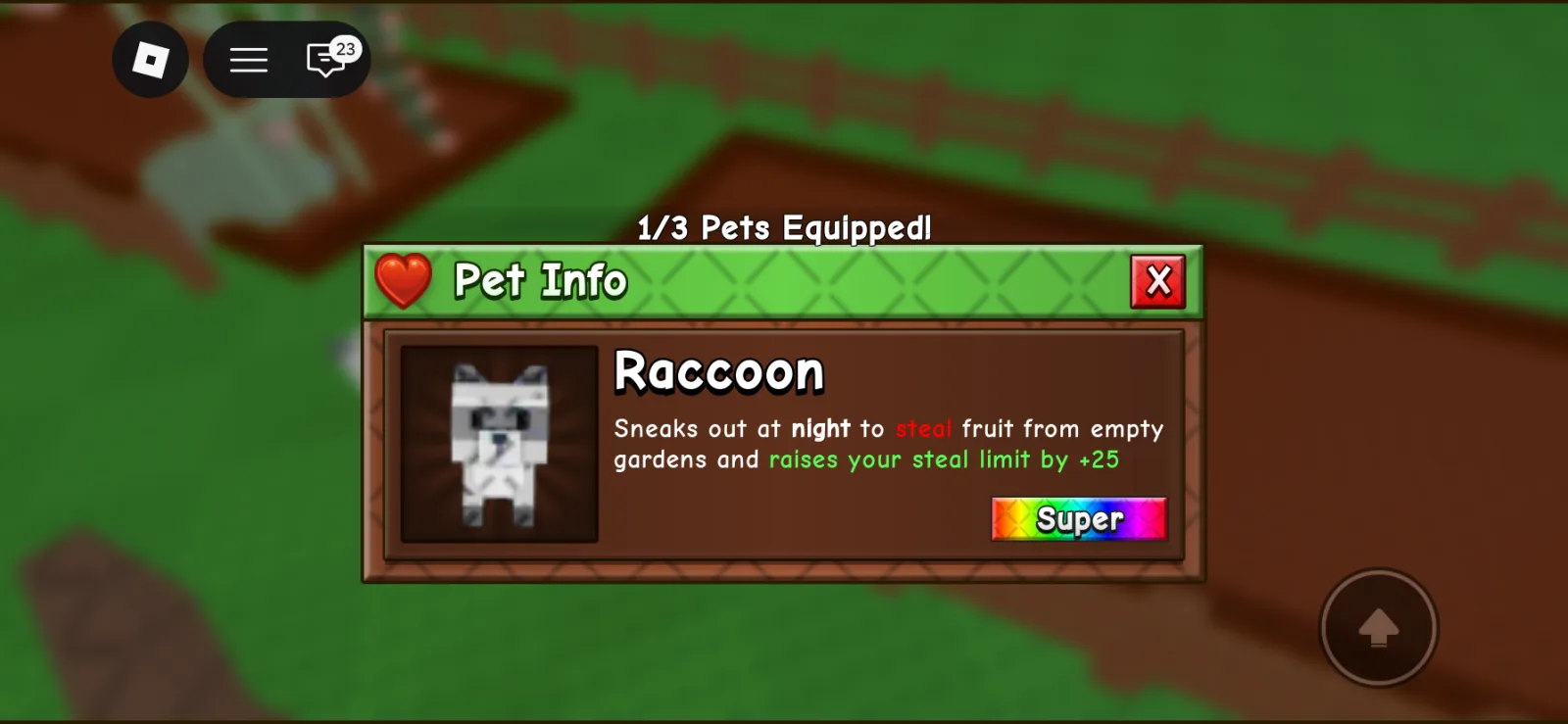 Raccoon (Super) — Account account