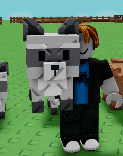 Raccoon (Super) — Account account