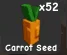 Carrot Seed (Common)
