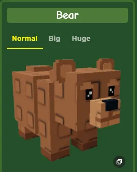 Bear