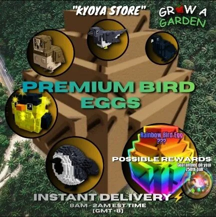 PREMIUM BIRD EGGS 10x PIECES — Account account