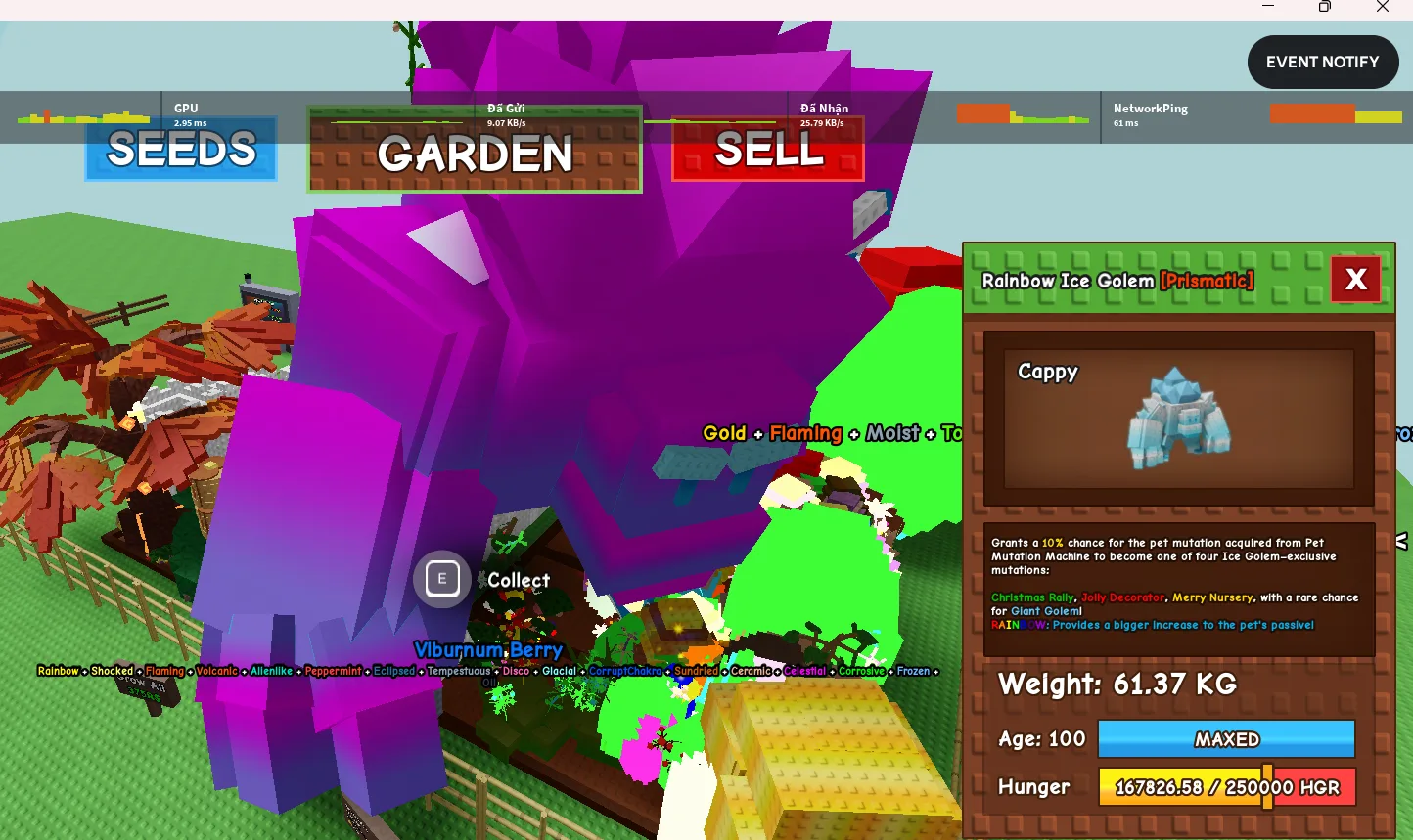 60kg HUGE RAINBOW ICE GOLEM SUPER HANDSOME AND CUTE