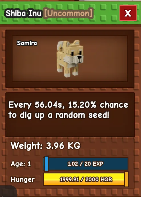SEMI HUGE SHIBA INU AGE 1 3.96KG GAG PET INSTANT DELIVERY — Account account