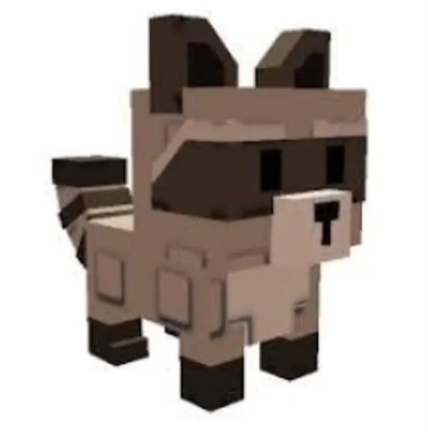 Raccoon (Super)