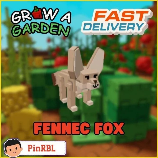 Fennec Fox KG+ Limited Fennecs Foxs (Fennecc Focx)