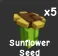 Sunflower Seed