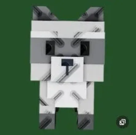 Raccoon