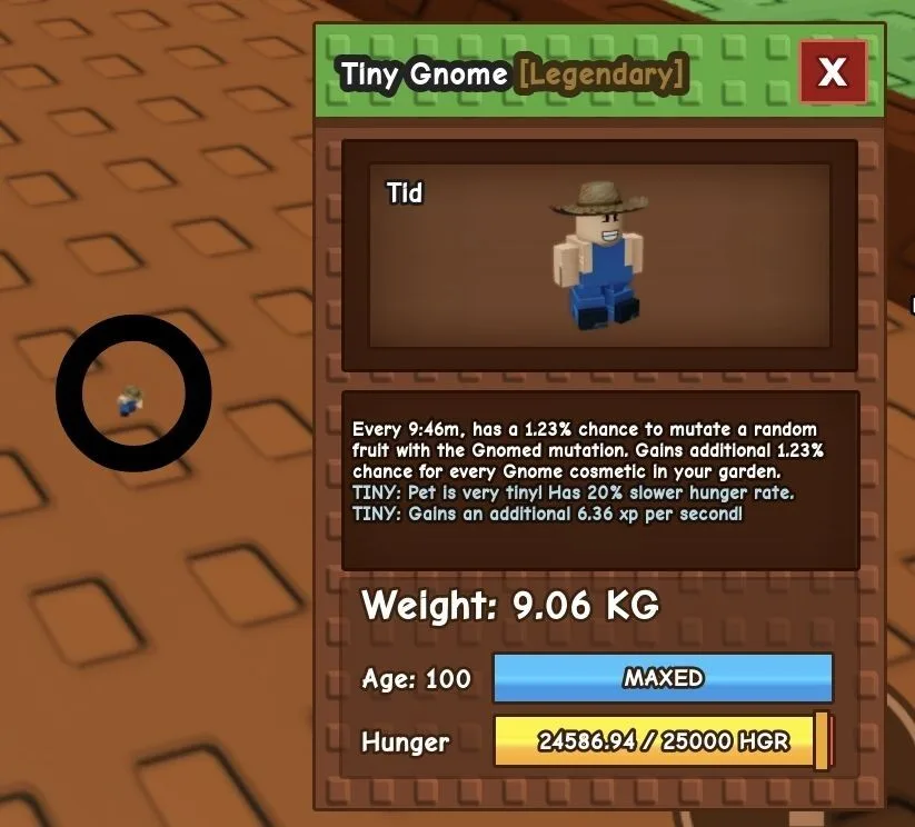 TINY Gnome - 9.06 KG (Age 100)