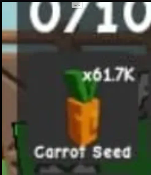 Carrot Seed (Common)