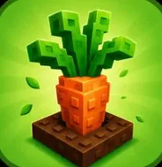 Carrot Seed (Common)