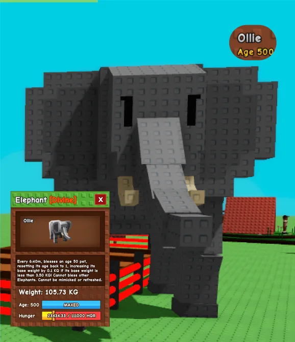 Huge Elephant 105Kg+ — Account account