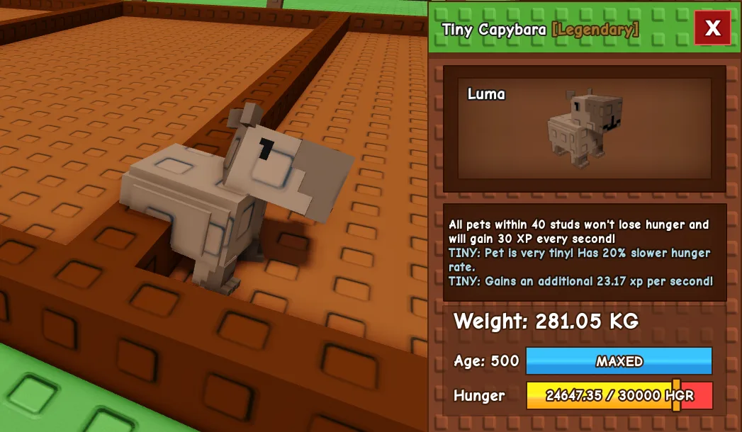 281.05kg Tiny Capybara Cute Farming