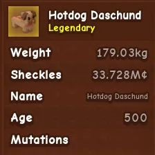 Inferno Hotdog Daschund Age 500 Instant Delivery