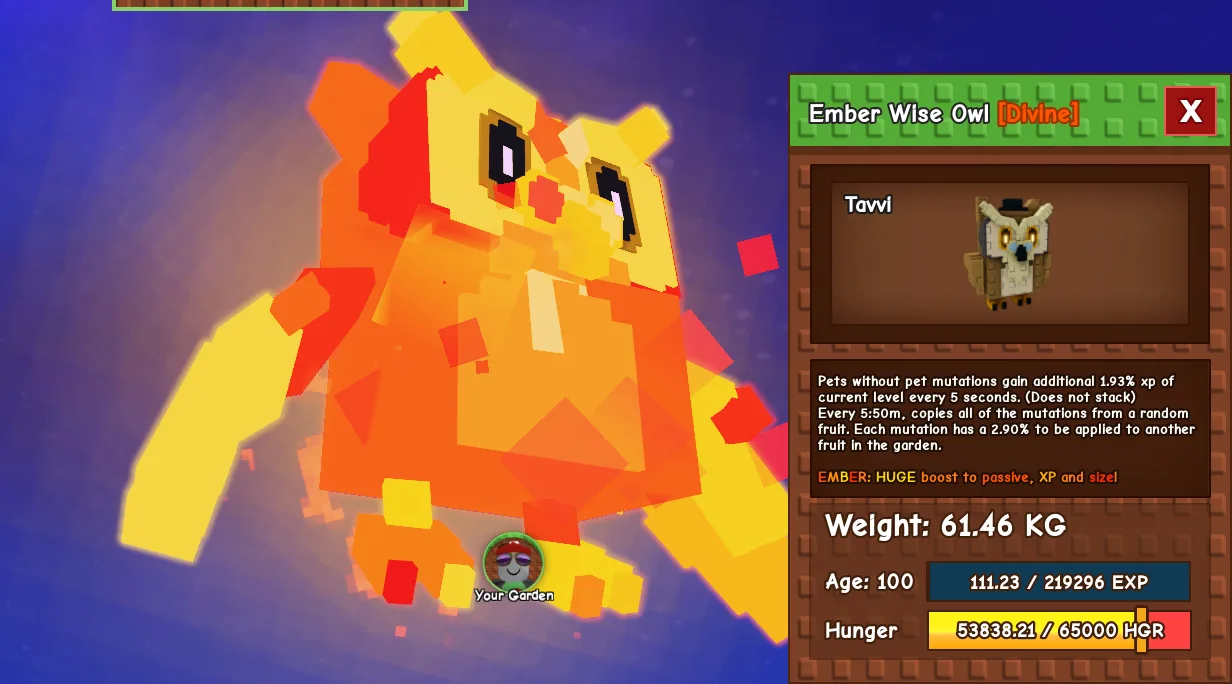 61.46kg Age 100 Ember Wise Owl