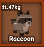 Mega Raccoon 11.47 KG FAST TRADE