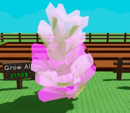 (Glimmering) Romanesco 8,42 Kg