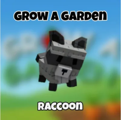 Raccoon Fast Delivery