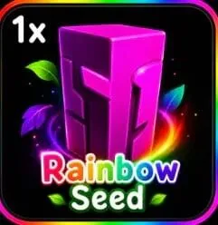 Rainbow Seed — Account account