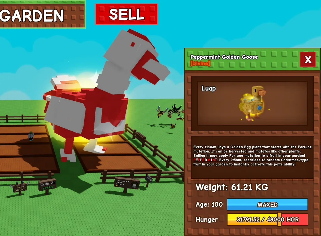60kg+ Peppermint Golden Goose — Account account