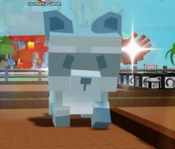 Shiny Racoon 2 minute delivery