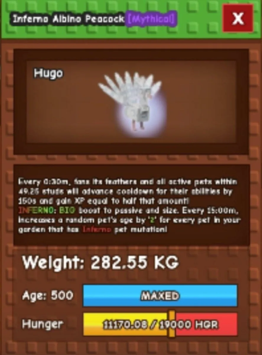 ALBINO PEACOCK 60-61KG (282KG, 500 AGE) FAST DELIVERY