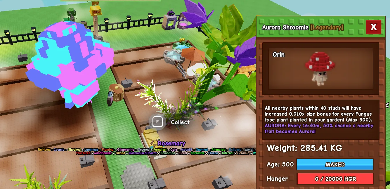 280+KG Aurora Shroomie Legendary // super handsome // Age 500 MAXED // Farm Boost Fruit Boost//not ktisune//i run out of tag others limitation