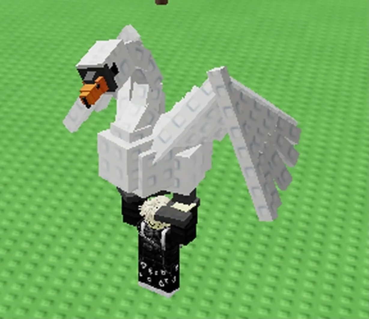 big swan