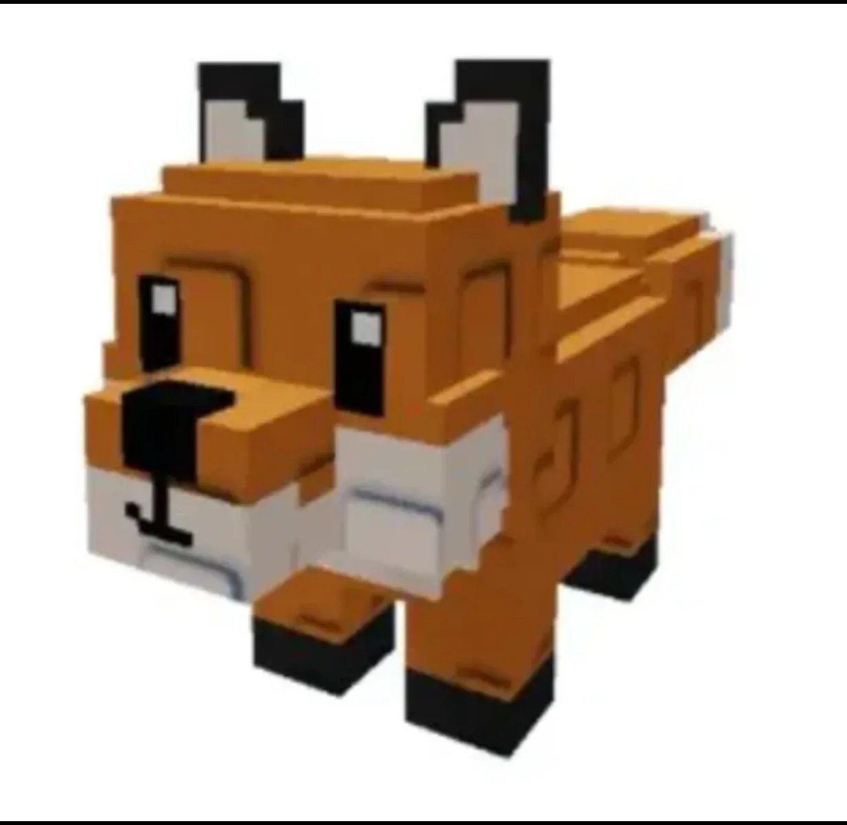 BIG FOX