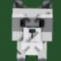 Raccoon (Super) — Account account