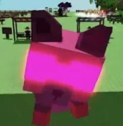 NIGHTMARE Raccoon — Account account
