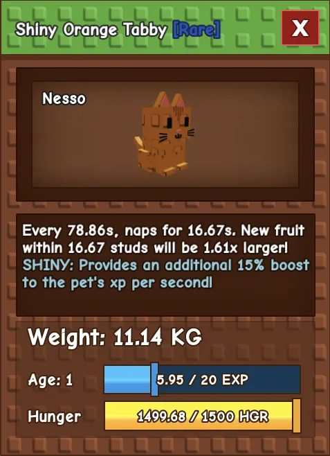 11.14 kg 1 age Godly Orange Tabby 111 kg max