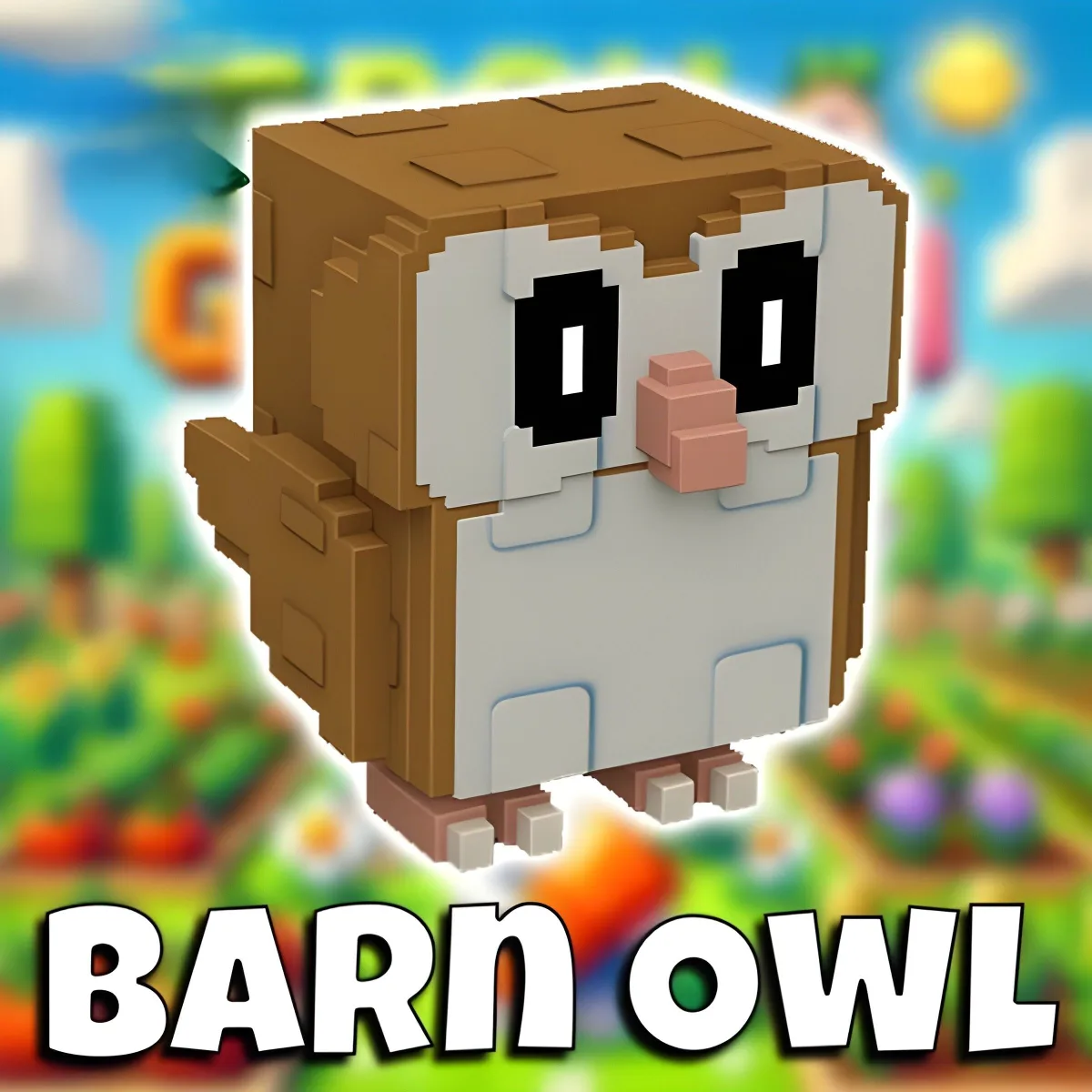 60x Barn Owls Grow a Garden
