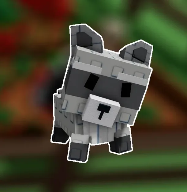 Raccoon (Super) — Account account