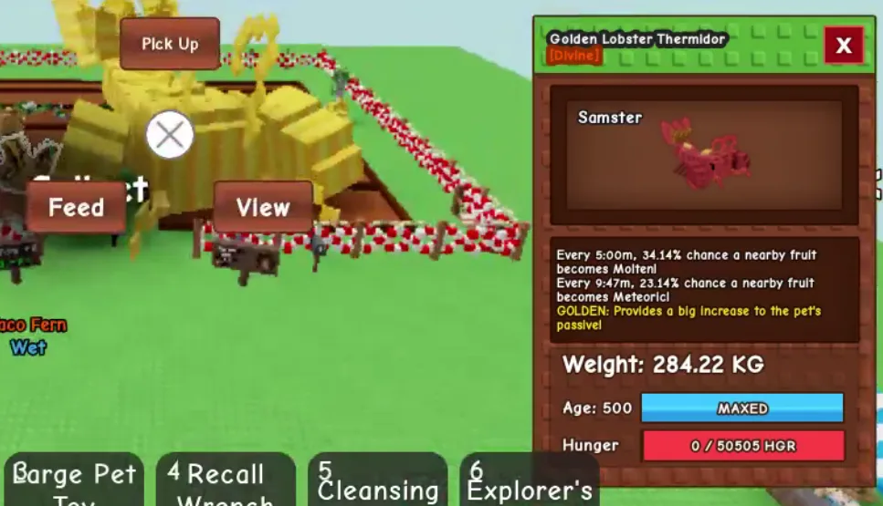 280KG+ Golden Lobster Thermidor Divine super handsome // Max Age // Molten + Meteoric Fruit Boost