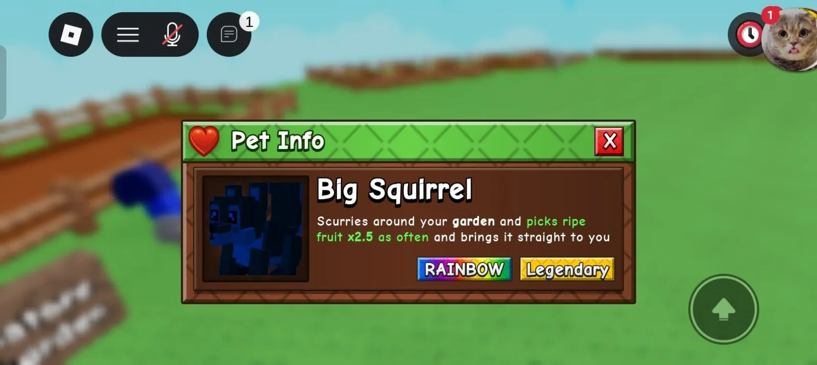 Squirrel (Legendary)