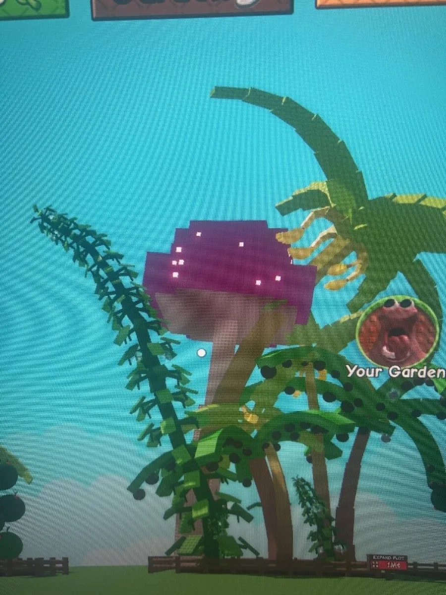 Biggest glowmushroom in the game — Account account