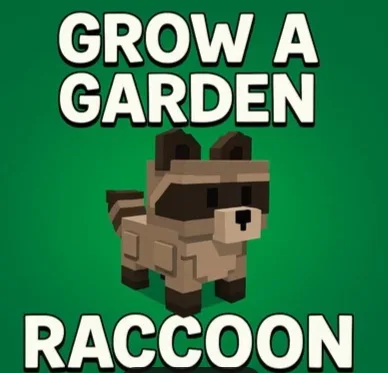 Raccoon (Mythic) — Account account