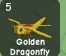 Golden Dragonfly (Mythic) — Account account