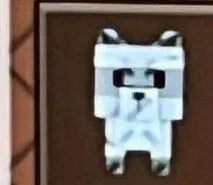 Raccoon — Account account