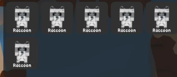 Raccoon — Account account