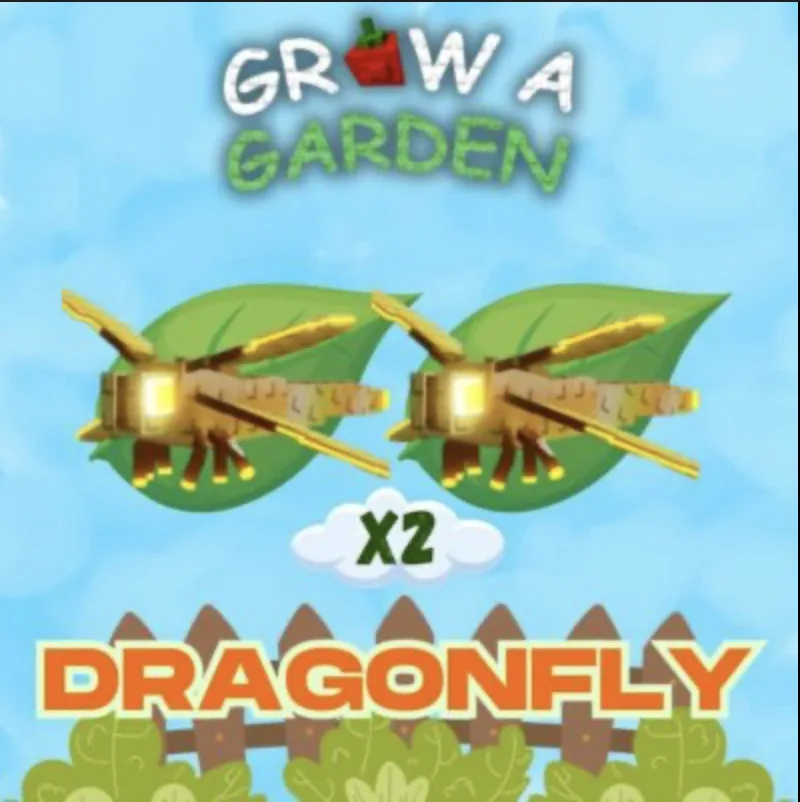 2x Dragonfly — Account account