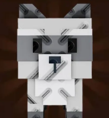 Raccoon (Common)