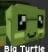 Turtle (Rare)
