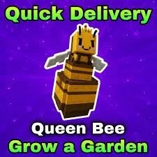 Shiny Queen Bee — Account account