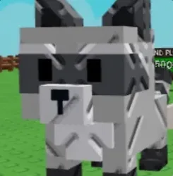 Raccoon (Super)