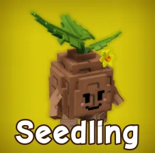 Seedling Grow A Garden